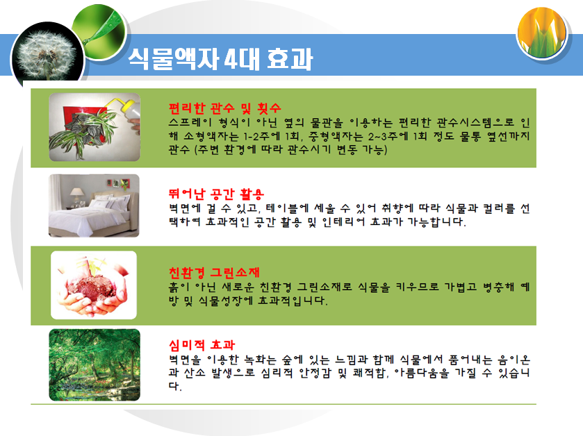 식물액자 4대 효과