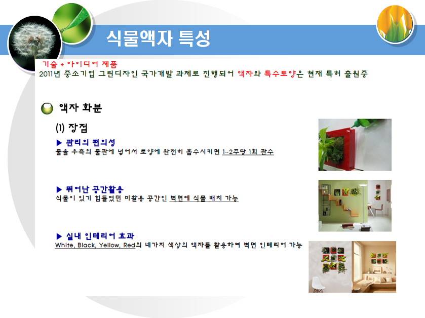 식물액자 특성