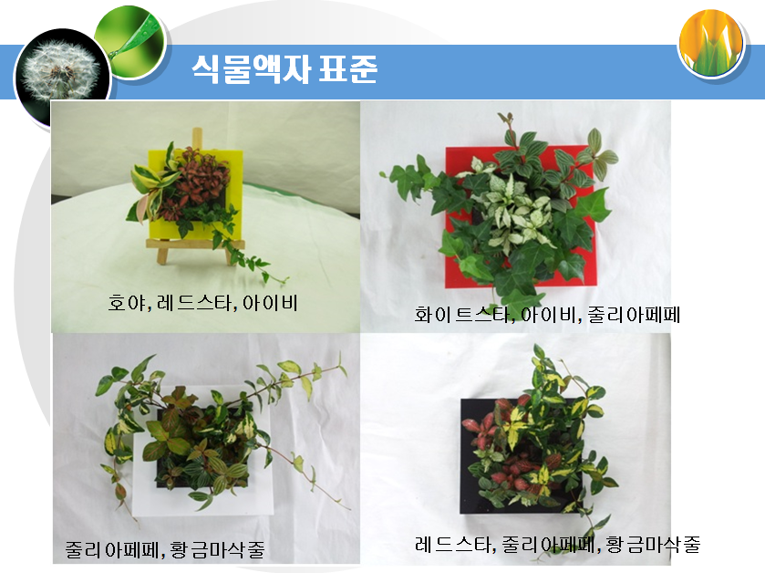 식물액자 표준
