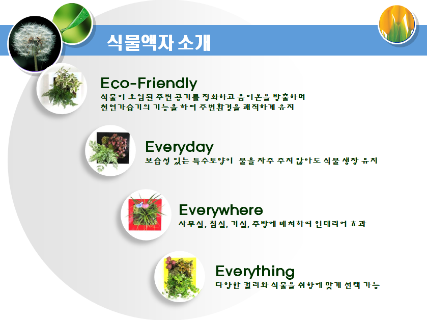 식물액자 소개